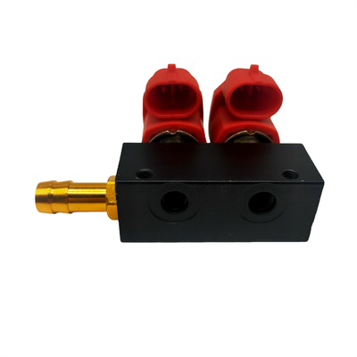 LLANO LN-VTK02 2 GPL GNV कार फ्यूल सिस्टम के लिए सिलेंडर इंजेक्टर रेल